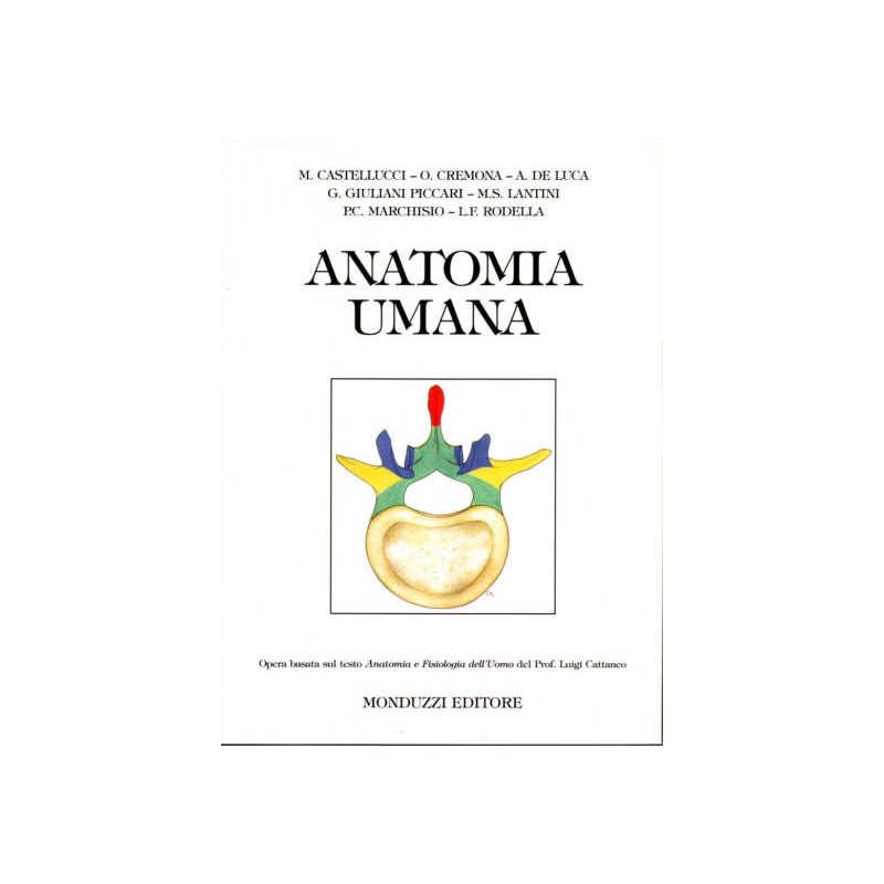 ANATOMIA UMANA